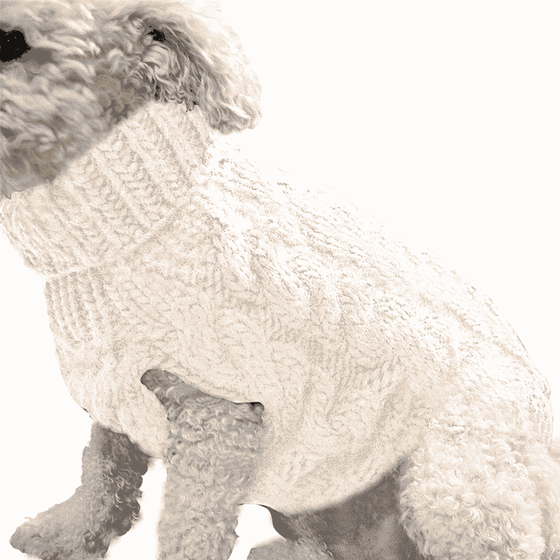 Pull-laine-col-roulé-chien-blanc