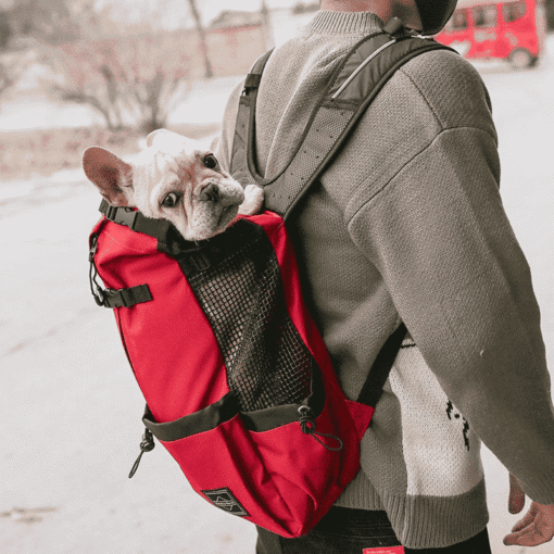 Sac à dos Peluche Loup Dani Créations - - Equipement outdoor et ski