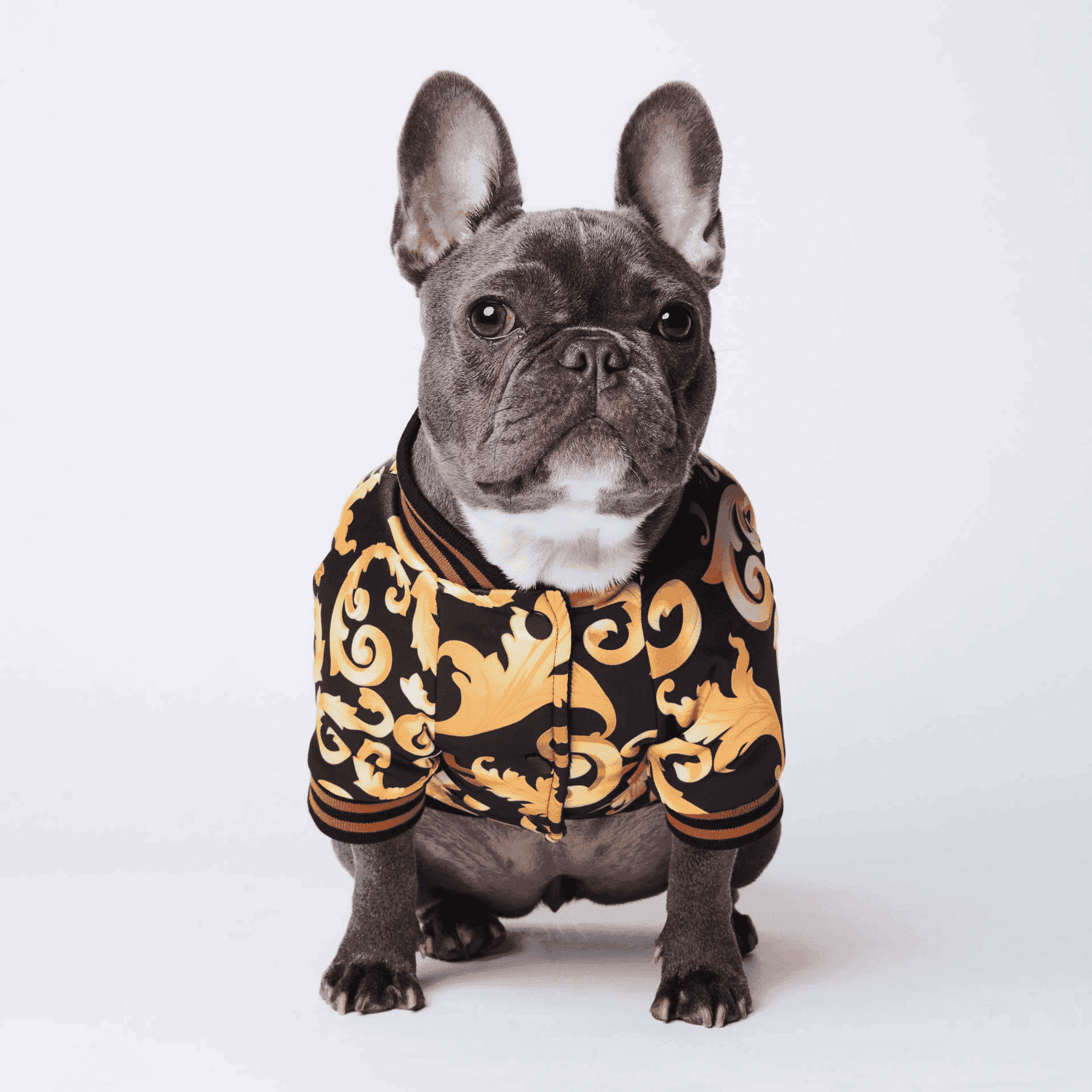 Vêtements pour chien motifs floral