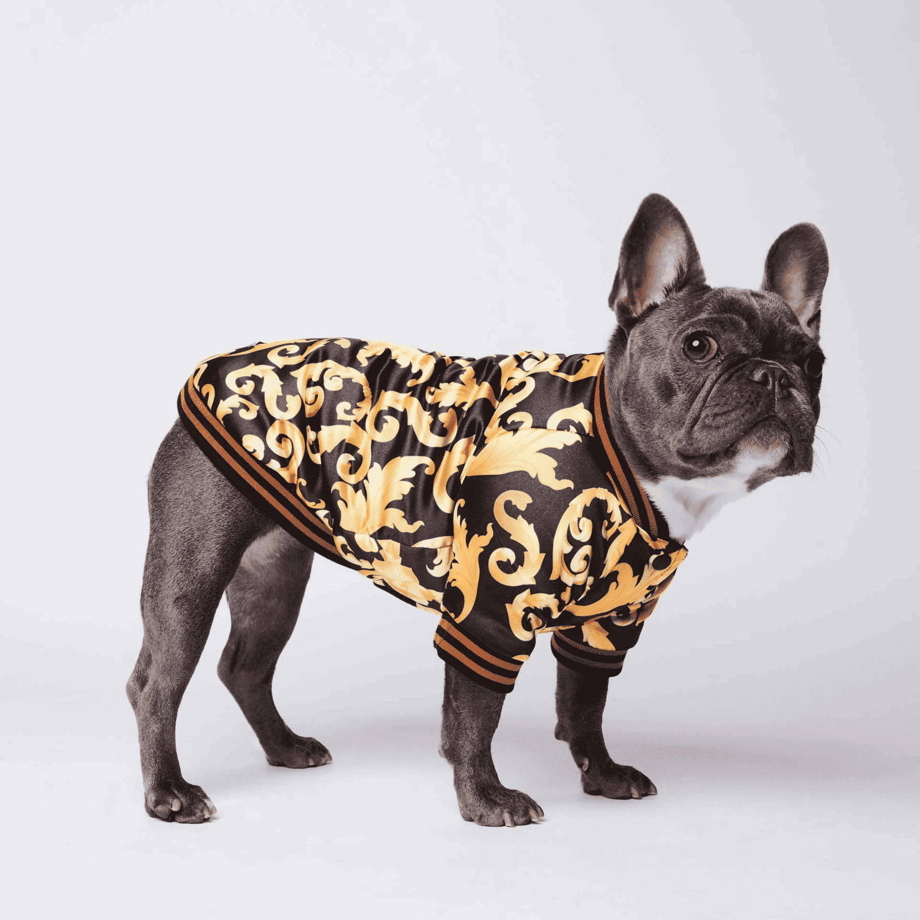 Vêtements pour chien motifs floral