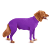 combinaison integrale chien violet 1 combinaison integrale chien violet 1