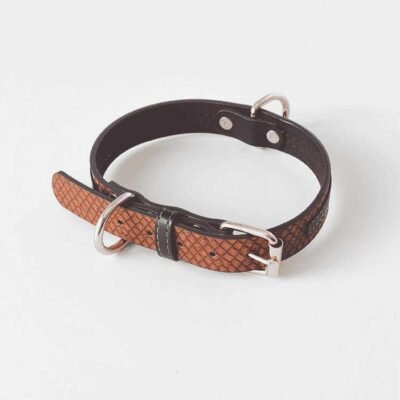 Collier en cuir pour bullmastiff Collier en cuir pour bullmastiff