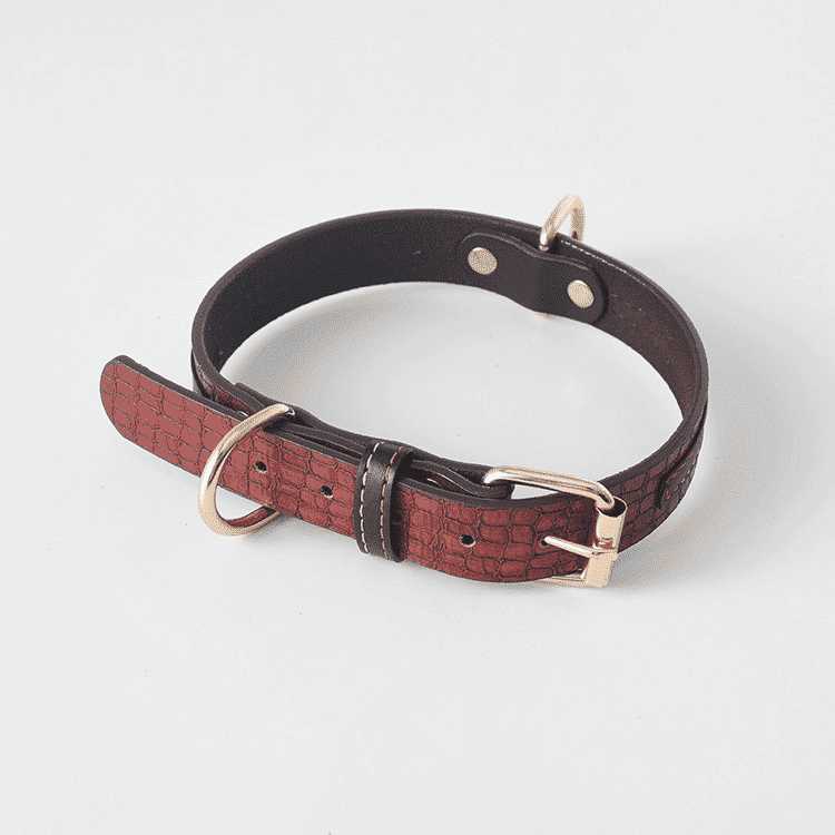 Collier-cuir-husky-sibérien-rouge