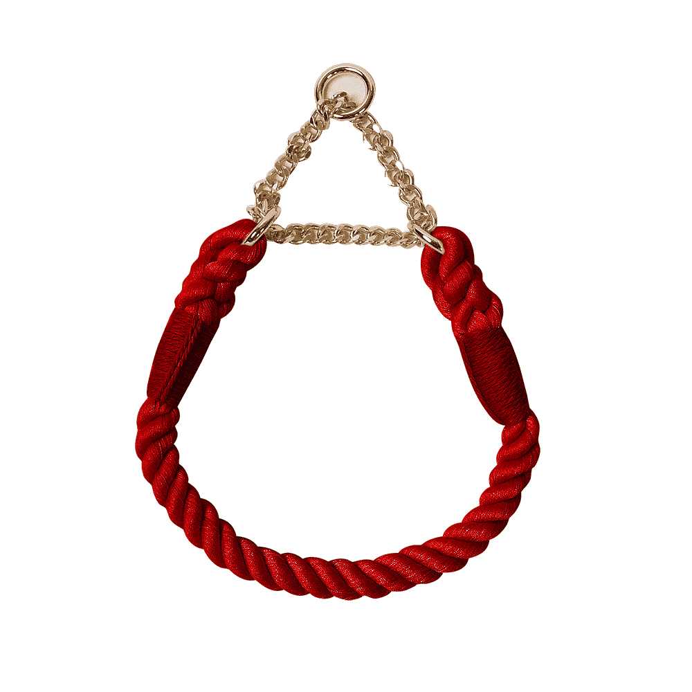 Collier-tresse-chainette-rouge-berger-blanc-suisse