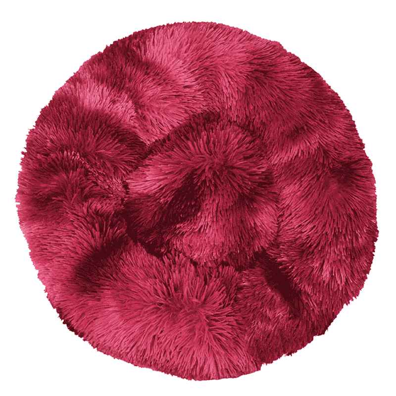 Coussin-apaisant-rouge-border-collie