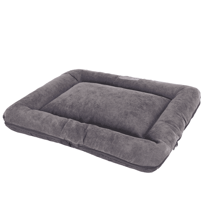 Coussin-lavable-gris-chihuahua