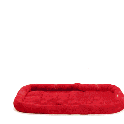 Coussin pour berger australien en velours Coussin pour berger australien en velours