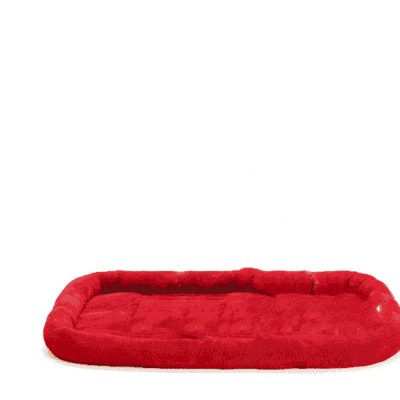 Coussin pour golden retriever en velours Coussin pour golden retriever en velours