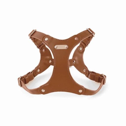 Harnais Cuir Premium The Leather Art Store - 12 Points Réglables - 3mm - UK