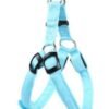 Harnais lumineux bleu pinscher nain Harnais lumineux bleu pinscher nain