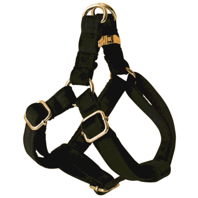 Harnais pour spitz en velours Harnais pour spitz en velours