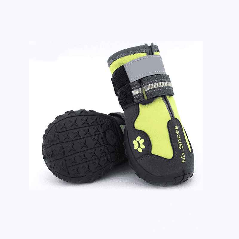 Botte-protection-vert-chihuahua