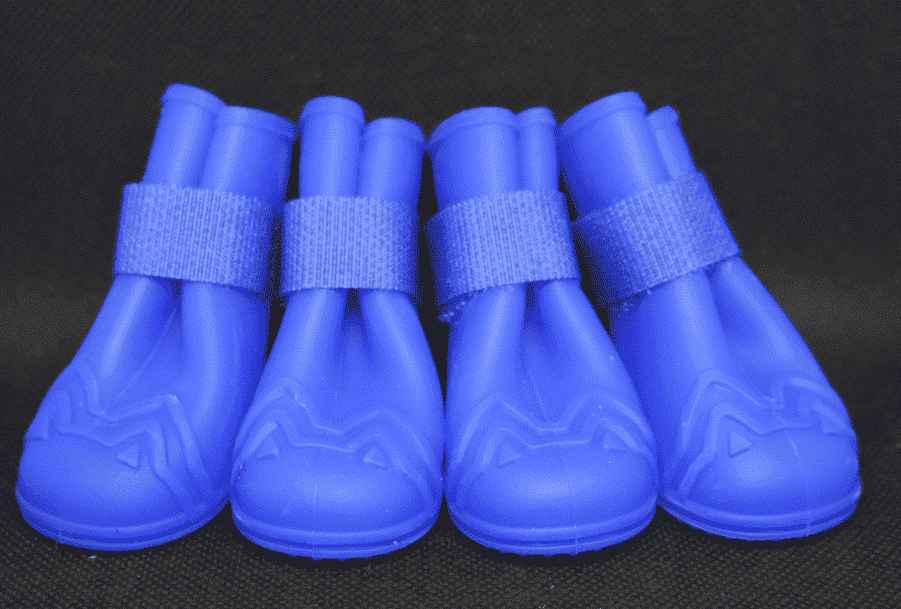 Bottes-impermeable-pour-boxer-bleu