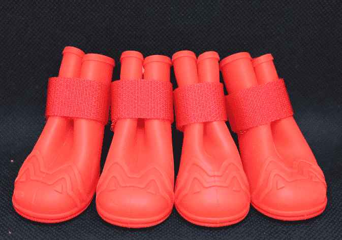 Bottes-impermeable-pour-chihuahua-rouge