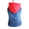 Veste Jean style Cow Boy cavalier king charles rouge Veste Jean style Cow Boy cavalier king charles rouge
