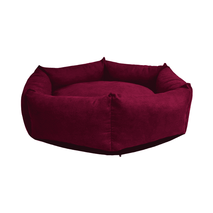 Panier pour Cocker design et déhoussable