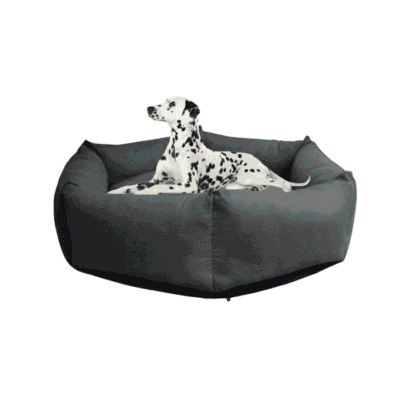 panier dalmatien dehoussable