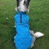 Manteau chaud impermeable border collie 10 Manteau chaud impermeable border collie 10