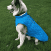 Manteau chaud impermeable border collie Manteau chaud impermeable border collie