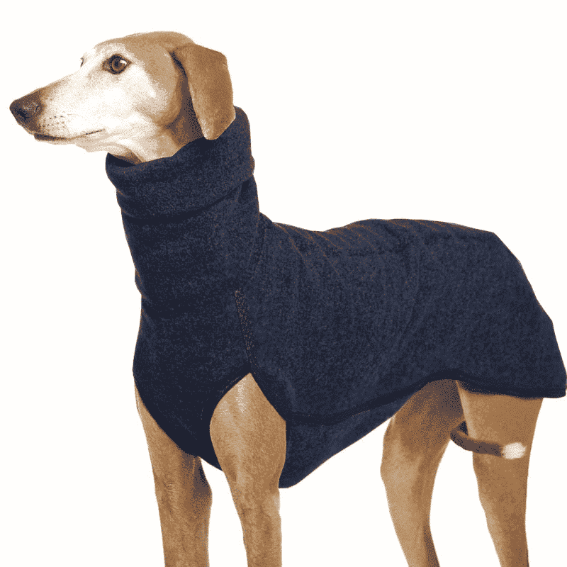 Pull-chaud-pour-Whippet-bleu