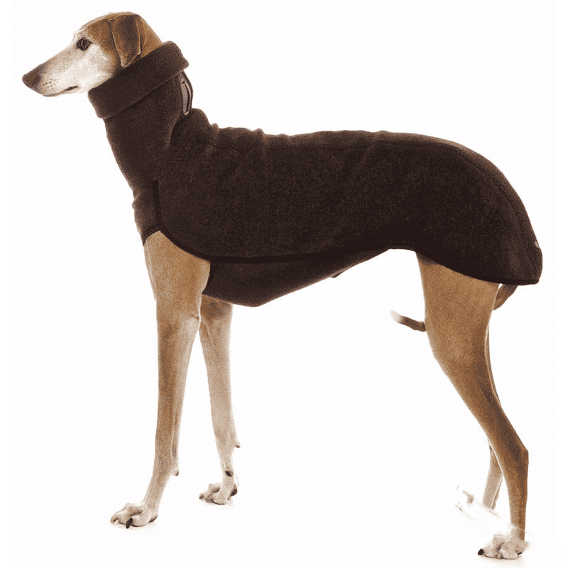 Pull-chaud-pour-Whippet-marron