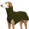 Pull chaud pour Whippet vert Pull chaud pour Whippet vert