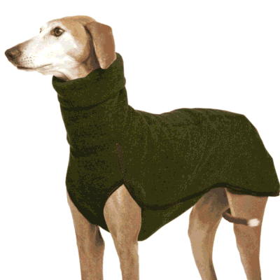 Pull chaud pour Whippet Pull chaud pour Whippet