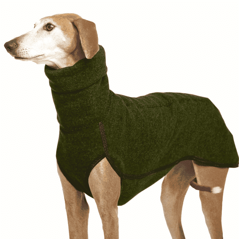 Pull-chaud-pour-Whippet-vert