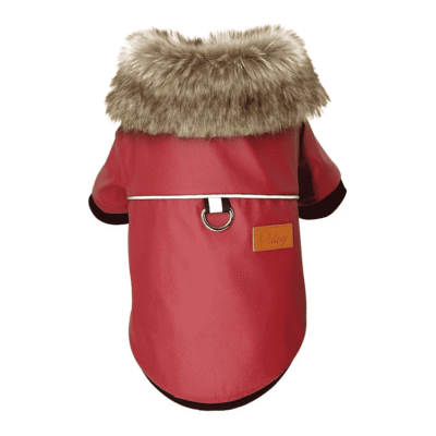 Veste en cuir pour chien Veste en cuir pour chien