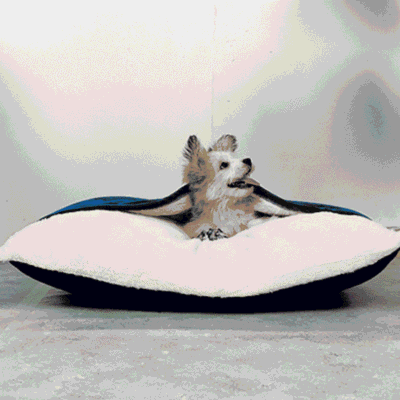 Coussin apaisant pour petit chien Coussin apaisant pour petit chien