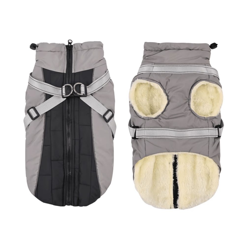manteau chaud harnais integre pour petit chien