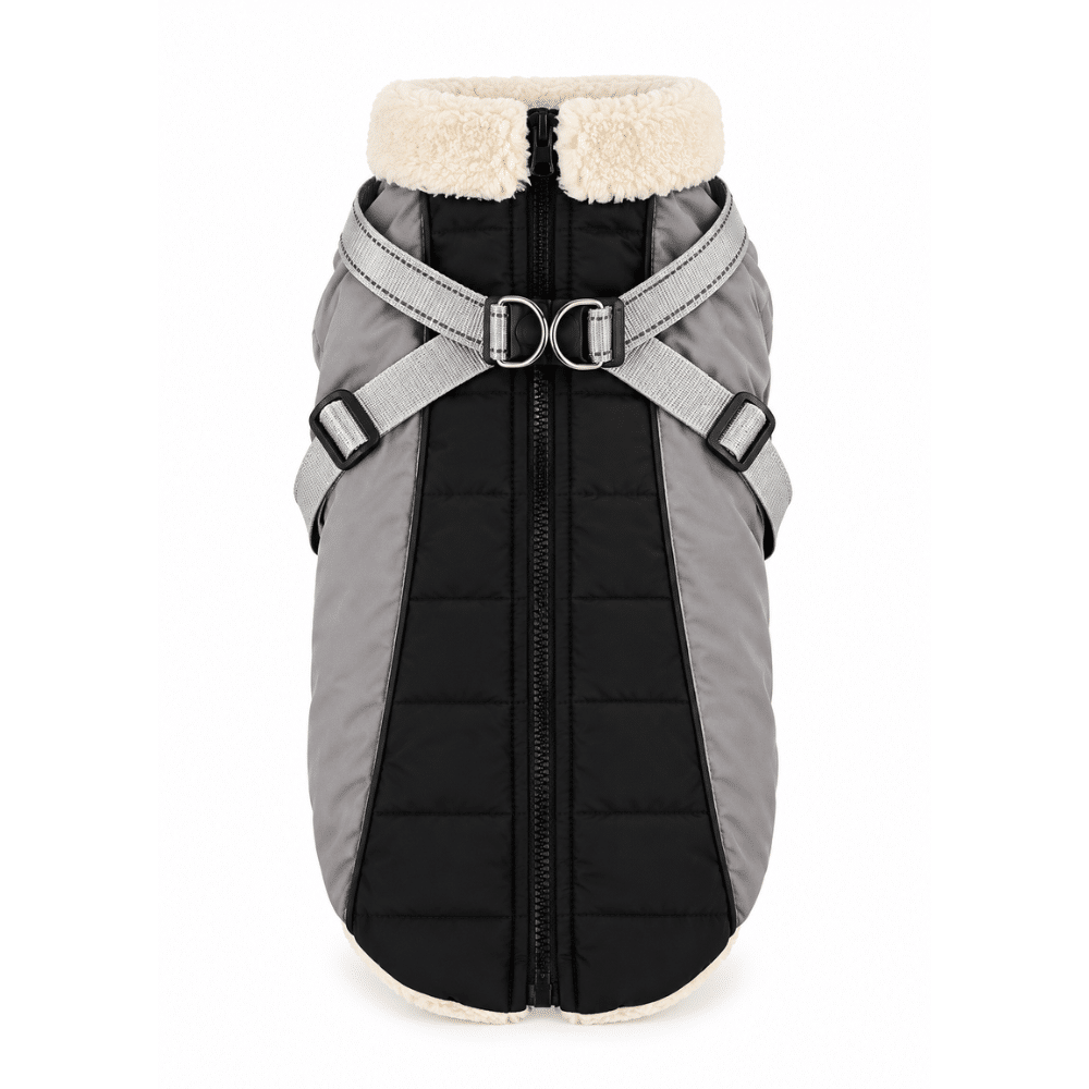manteau chaud harnais integre pour petit chien