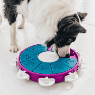 Jeu d'intelligence Tornado pour chien - Niveau 3 Jeu d'intelligence Tornado pour chien - Niveau 3