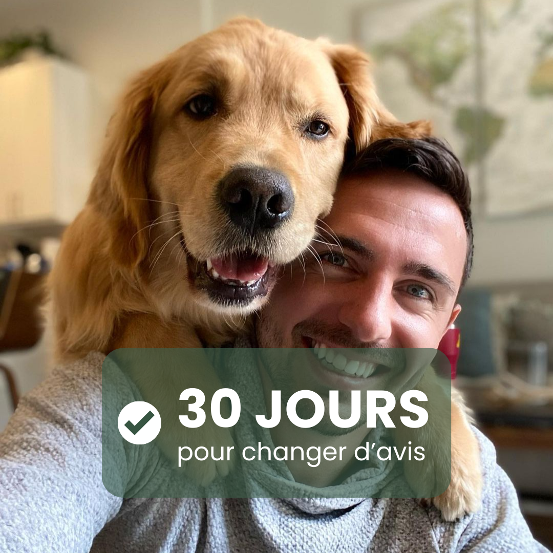 jours changer avis manteau chaud impermeable whippet