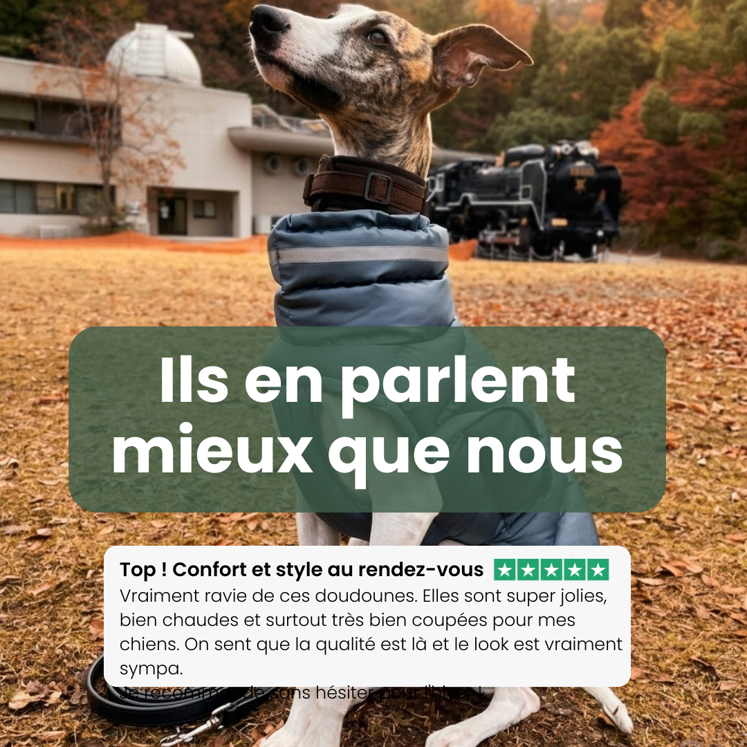 avis manteau chaud impermeable whippet