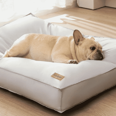 Coussin indestructible, anti poils et déhoussable pour chien Coussin indestructible, anti poils et déhoussable pour chien