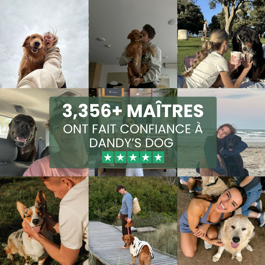 ils nous font confiance