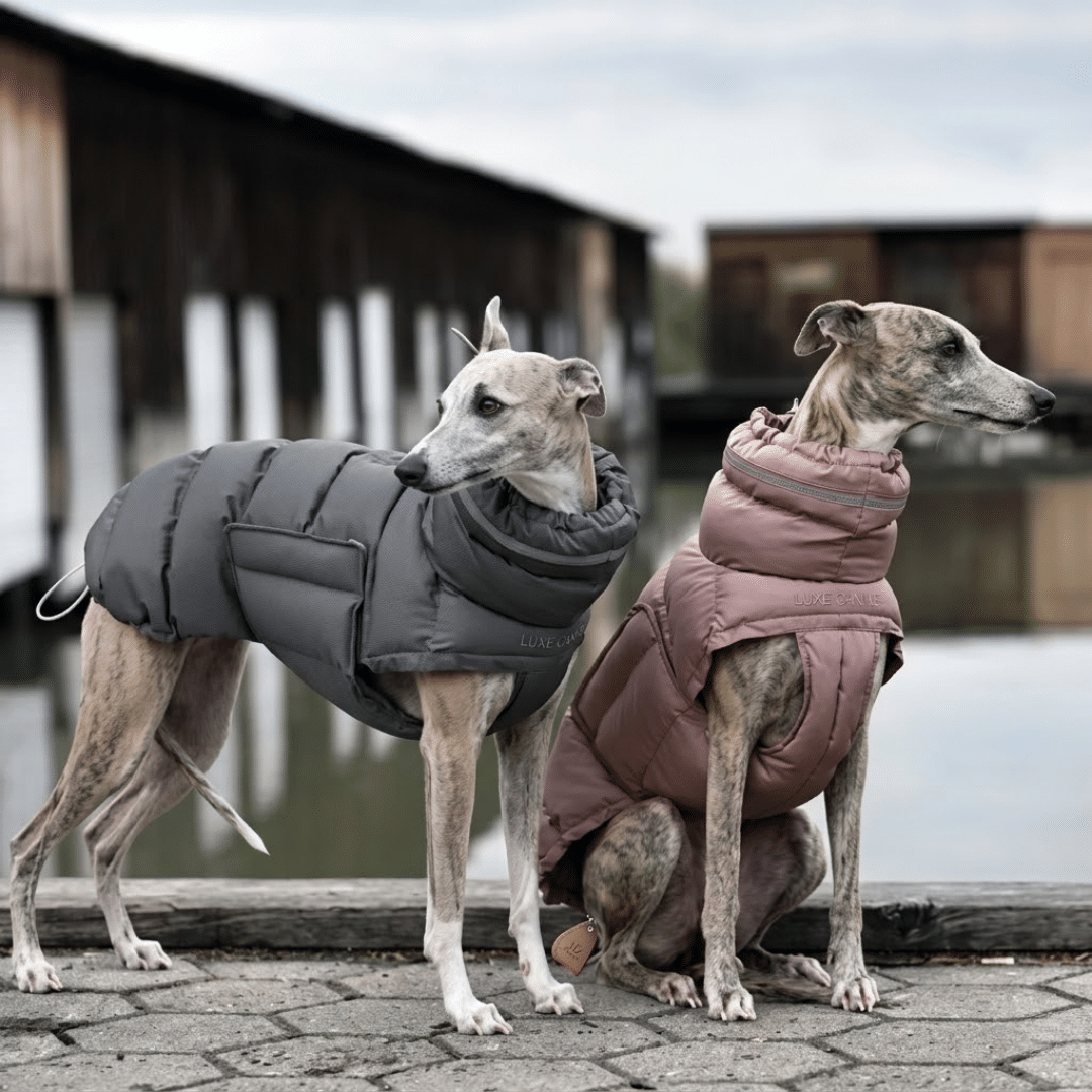 manteau chaud impermeable whippet