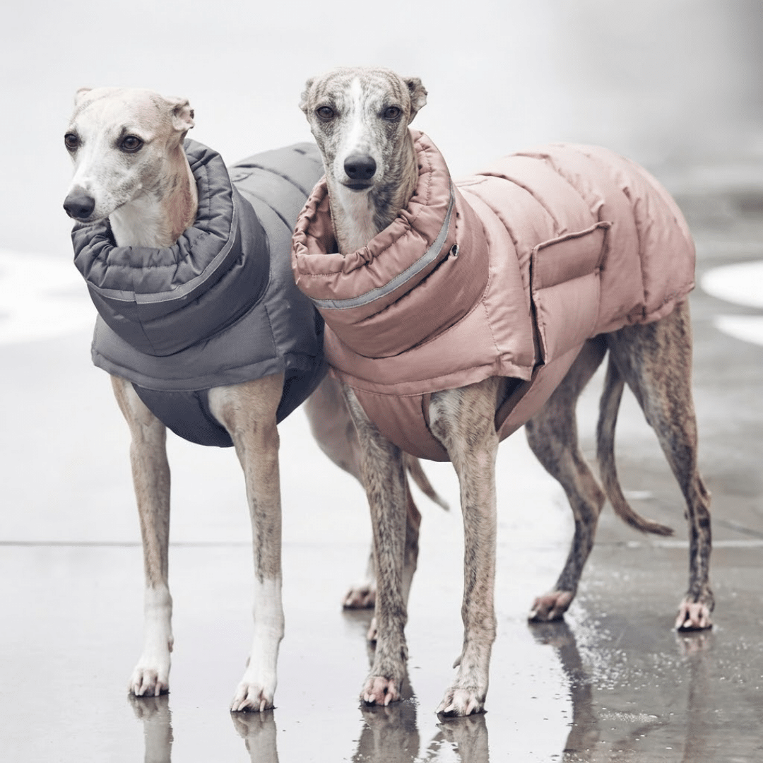 manteau chaud impermeable whippet