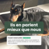 avis client coussin indestructible déhoussable noir poignée chien avis client coussin indestructible déhoussable noir poignée chien