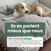 avis panier xxl déhoussable confortable chien avis panier xxl déhoussable confortable chien
