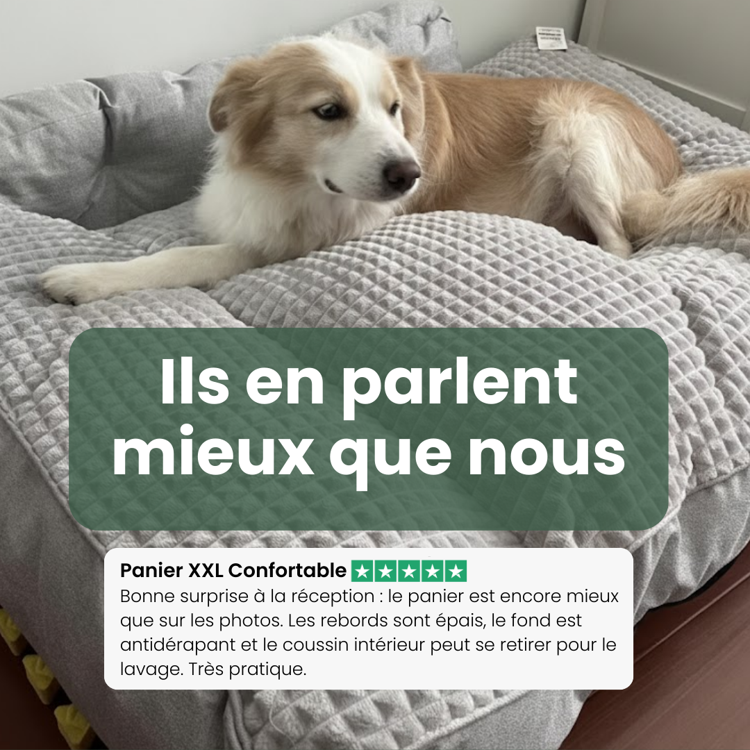 avis panier xxl déhoussable confortable chien avis panier xxl déhoussable confortable chien