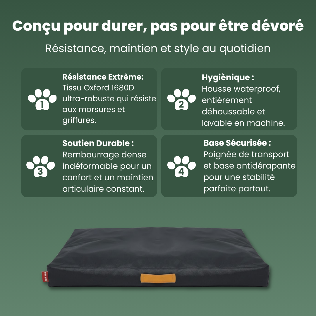 caracteristique coussin indestructible déhoussable noir poignée chien