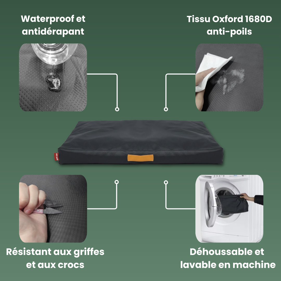 details coussin indestructible déhoussable noir poignée chien