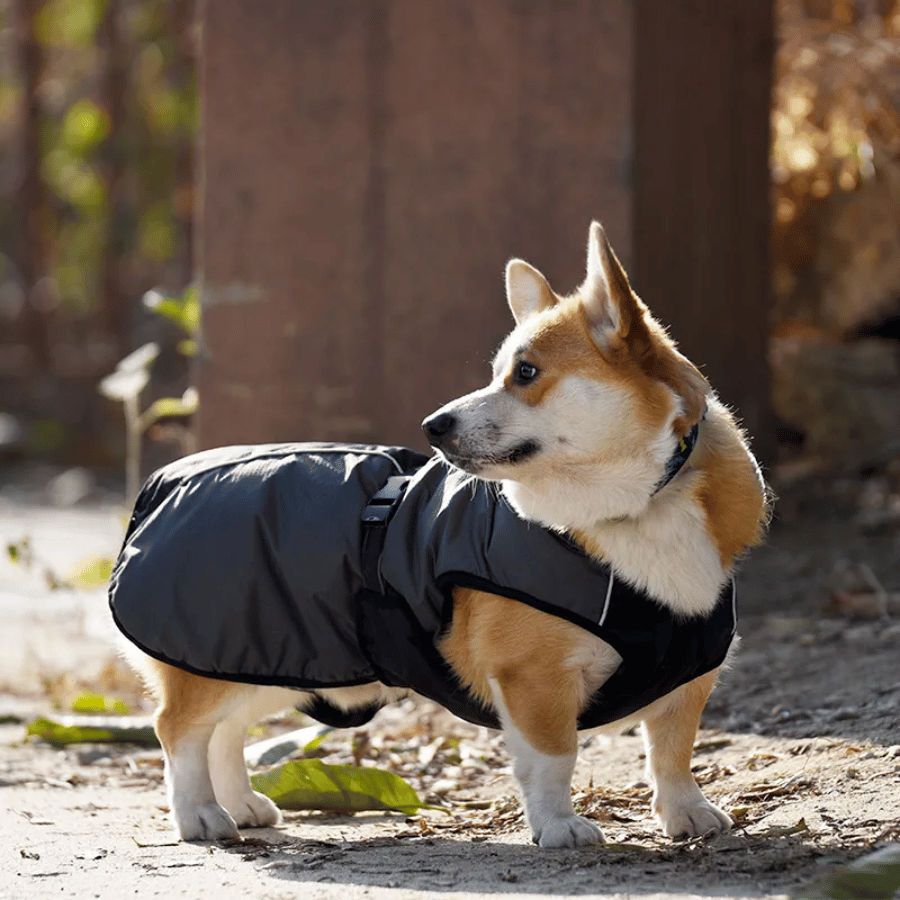 Manteau chaud et imperméable noir pour chien
