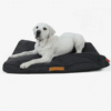 vieux chien coussin indestructible dehoussable noir poignee chien vieux chien coussin indestructible dehoussable noir poignee chien