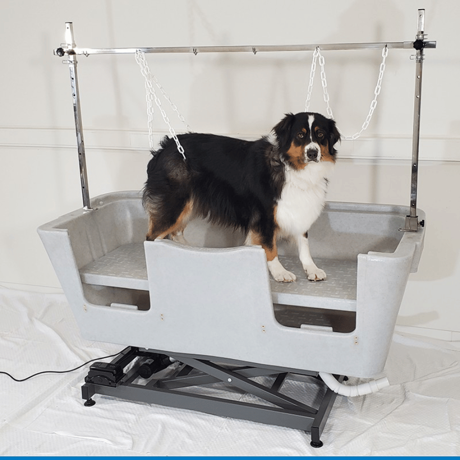 Baignoire pour grand chien électrique gris - Polyéthylène et Inox - 130x50 cm