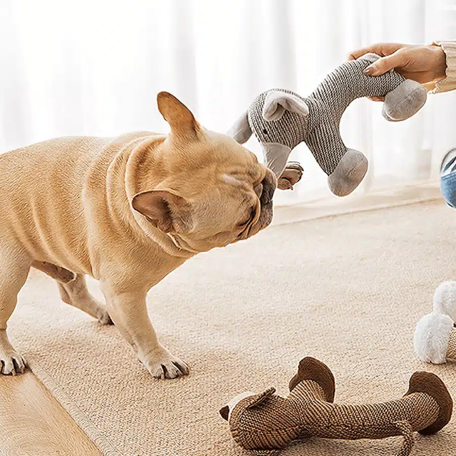 Peluche qui couine pour chien - Éléphant