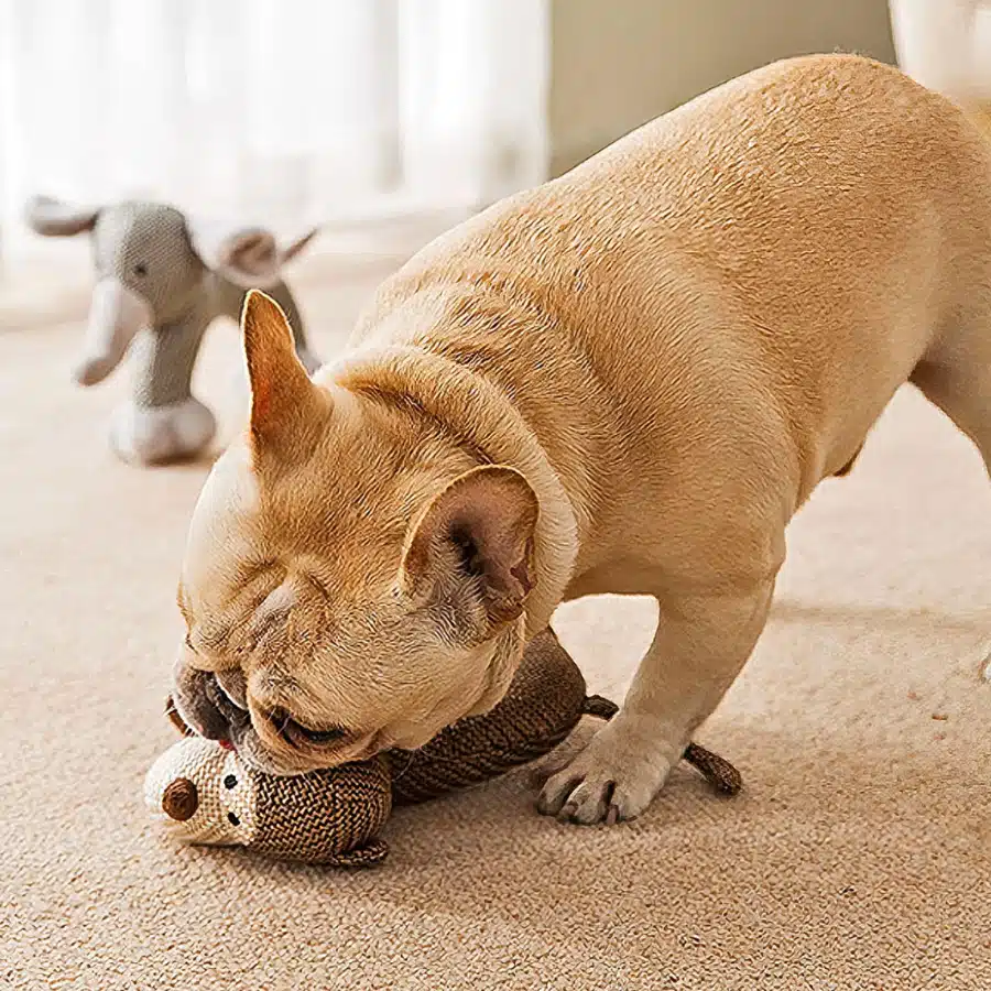 Peluche qui couine pour chien - Singe