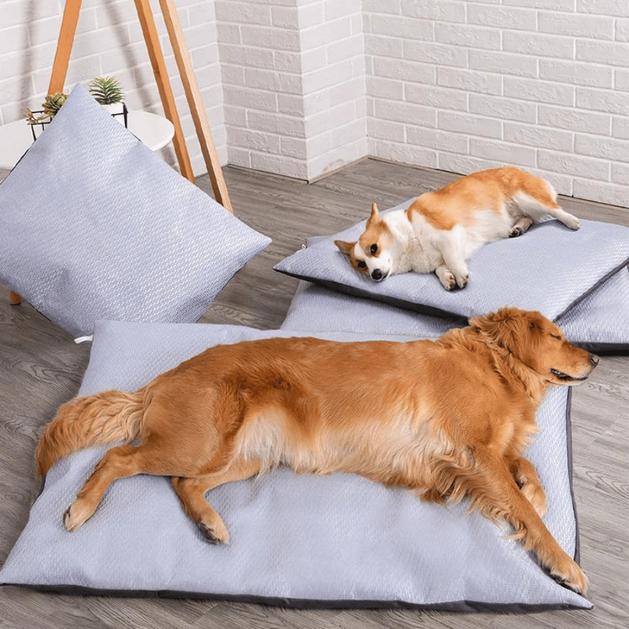 Coussin rafraichissant et déhoussable pour chien